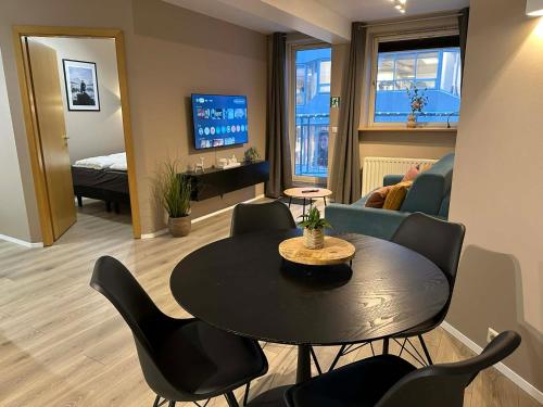 TV a/nebo společenská místnost v ubytování Saga Apartments Akureyri