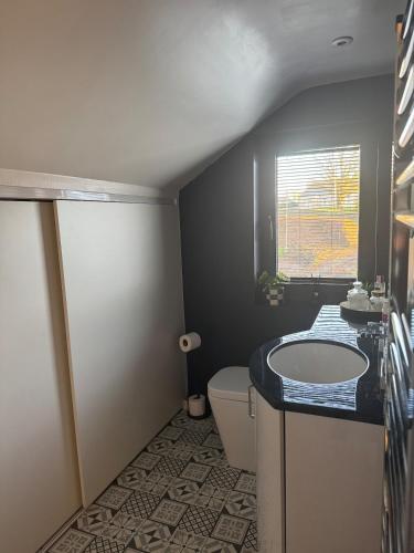 a bathroom with a sink and a toilet and a window at The Loft in Lurgan