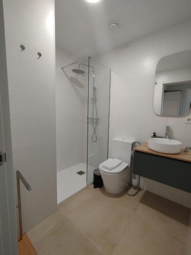 a bathroom with a shower and a toilet and a sink at TAYP Sol 120 in Seville