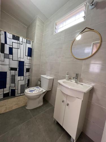 a bathroom with a toilet and a sink and a mirror at Artin House Mendoza in Ciudad Lujan de Cuyo