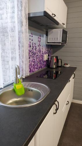 Køkken eller tekøkken på Green Hill Apartments