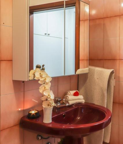a bathroom with a sink and a mirror at Casa Lukezovi in Spignon