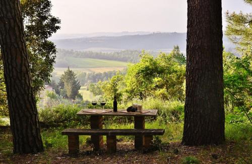 Phong cảnh thiên nhiên gần biệt thự