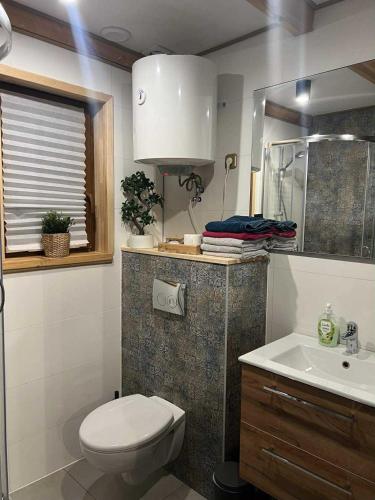 a bathroom with a toilet and a sink at Domek LuźnAgro Góry Sowie in Łomnica
