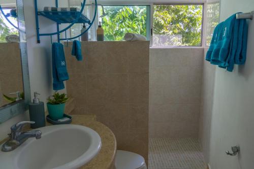 メリダにあるCASA MINERVA MERIDAの洗面台、トイレ、窓のあるバスルーム