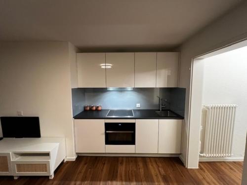 Kuchyň nebo kuchyňský kout v ubytování Rajput's Apartment