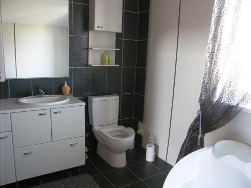 a bathroom with a toilet and a sink at Home for Guests Lakštingala in Šiauliai