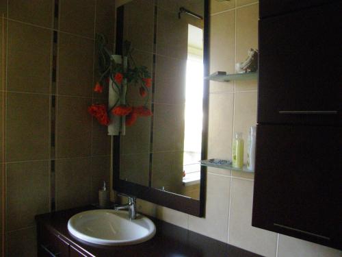 a bathroom with a sink and a mirror at Home for Guests Lakštingala in Šiauliai