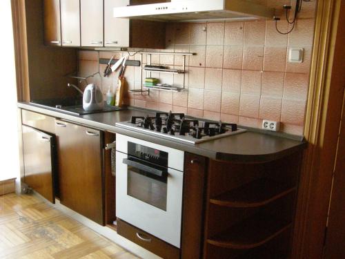 a kitchen with a stove and a counter top at Home for Guests Lakštingala in Šiauliai