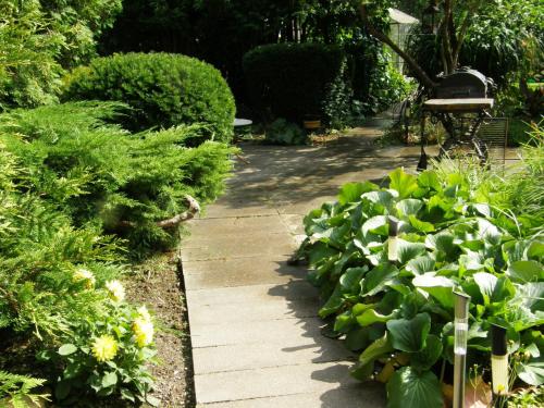 a path in a garden with green plants at Home for Guests Lakštingala in Šiauliai