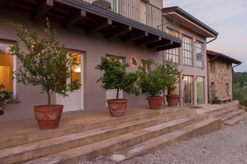 a house with four potted trees on the front porch at Zuani Casa in San Floriano del Cóllio