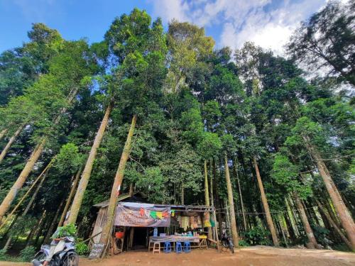 Naturlandskabet i nærheden af luksusteltet