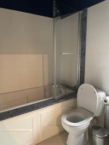 une salle de bain avec toilettes et douche dans l'établissement Cozy maisonette de Domme, à Domme