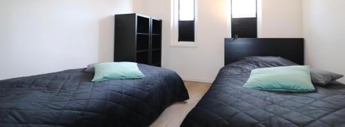 a bedroom with two beds with green pillows at Lauwershuisje, Sauna, Harbour Lauwersmeer in Anjum