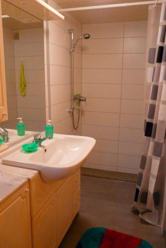 a bathroom with a sink and a shower at Ferienhaushälfte Fleesensee in Silz
