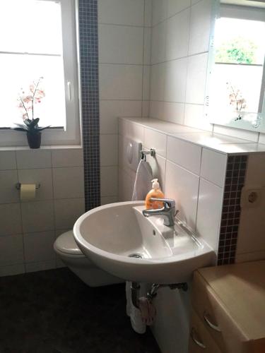 a bathroom with a sink and a toilet at Ferienhaus zwischen den Seen in Funfseen