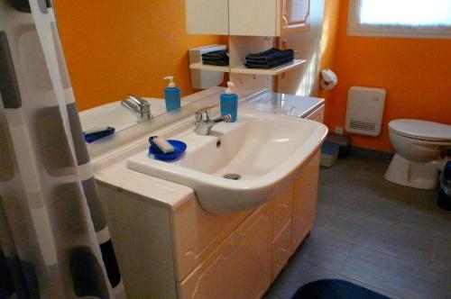 a bathroom with a sink and a toilet at Ferienhaushälfte Fleesensee in Silz