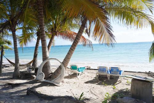 Příroda nedaleko kempu