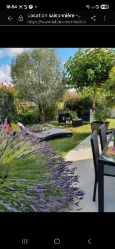 een foto van een tuin met paarse bloemen bij Chambre chez habitant in Saujon