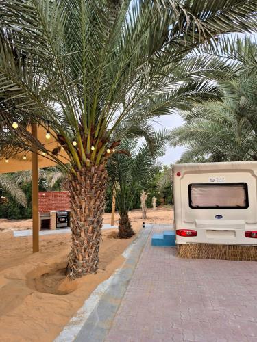 Billede fra billedgalleriet på RV Palm Oasis i Liwa