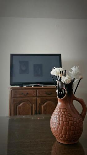 eine Vase mit Blumen vor einem TV in der Unterkunft Stan na dan - Apartman Centar Kakanj in Kakanj
