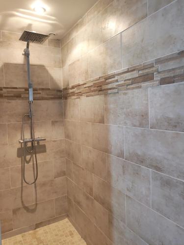 een douche in een badkamer met een stenen muur bij L'appart' Bivillais in Biville-sur-Mer