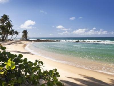 Phong cảnh thiên nhiên gần nhà nghỉ dưỡng