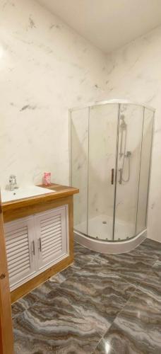 a bathroom with a shower and a sink at บ้านพัก กามู Gamoo homestay in Chom Thong