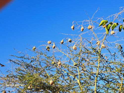Afbeelding uit fotogalerij van Habibi acomodação in Maputo