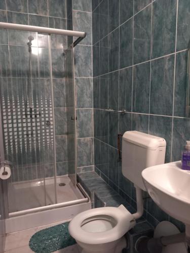ein Badezimmer mit Toilette, Waschbecken und Dusche in der Unterkunft Liliacului in Marghita
