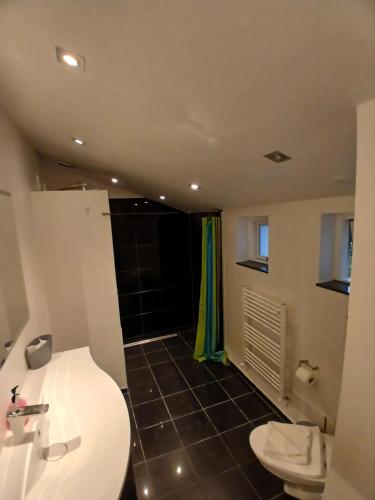 a bathroom with a toilet and a sink and a shower at Lejlighed ved stranden og centrum in Fredericia