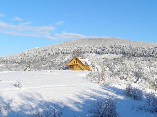 a house in the snow with a mountain in the background at Ranch Jelov Klanac in Rakovica