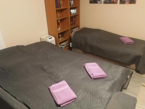 Postel nebo postele na pokoji v ubytování Napraforgó Vendégház Balatonvilágos