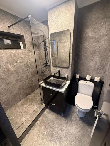ein Badezimmer mit Toilette und Waschbecken in der Unterkunft Sweet home lux RF in Buzău