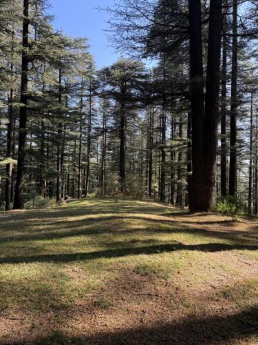 Naturlandskabet i nærheden af den private indkvartering