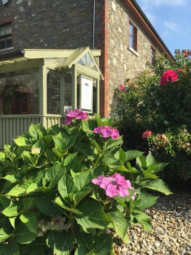 a bush of pink flowers in front of a house at Riverbank, Country Pub and Guesthouse in Carrickmacross