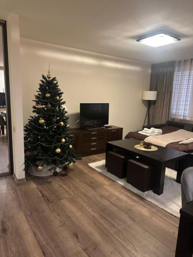 TV a/nebo společenská místnost v ubytování Trumpalaike buto nuoma