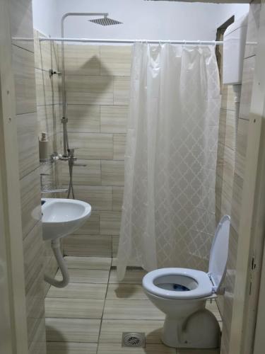 une salle de bains avec toilettes et lavabo dans l'établissement Apartmani Lena, à Odžaci