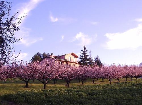 Podere Costantino室外花園