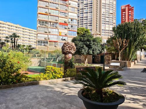 Full Sea View Benidorm
