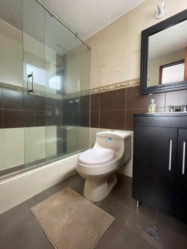 a bathroom with a toilet and a shower and a mirror at Hostal Otro Mundo in Pasto