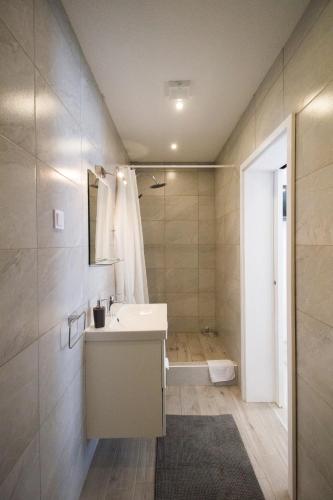 a bathroom with a sink and a shower at House Zupan in Rakovica