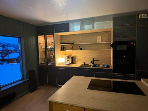 Billede fra billedgalleriet på Hogne's house i Tromsø