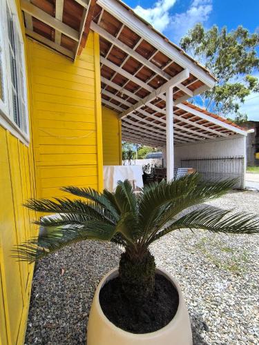 una pianta in un vaso davanti a un edificio giallo di Cantinho do Sonho - Chalé Sol a Palhoça