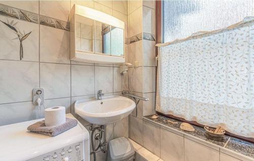 een kleine badkamer met een wastafel en een raam bij Zur-alten-Dorfschule in Trennewurth