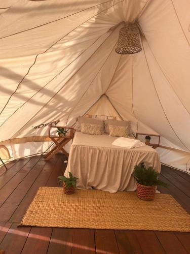een bed in een tent met twee planten op een kleed bij Renaco Glamping in Sauce