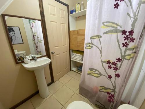 e bagno con tenda per la doccia, servizi igienici e lavandino. di Refugio urbano a Villarrica