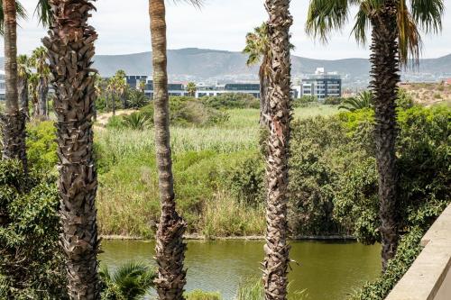 a group of palm trees next to a river at Belina - Knightsbridge Prestige Suite in Cape Town