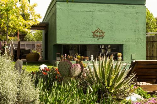 a green building with cacti in a garden at Refugio Padma in Chacras de Coria