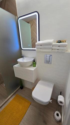 a bathroom with a toilet and a sink and a mirror at AVS Concept Obor in Bucharest